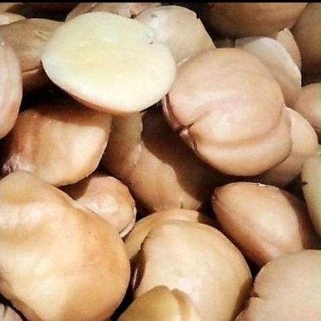 Jengkol Rebus Fresh