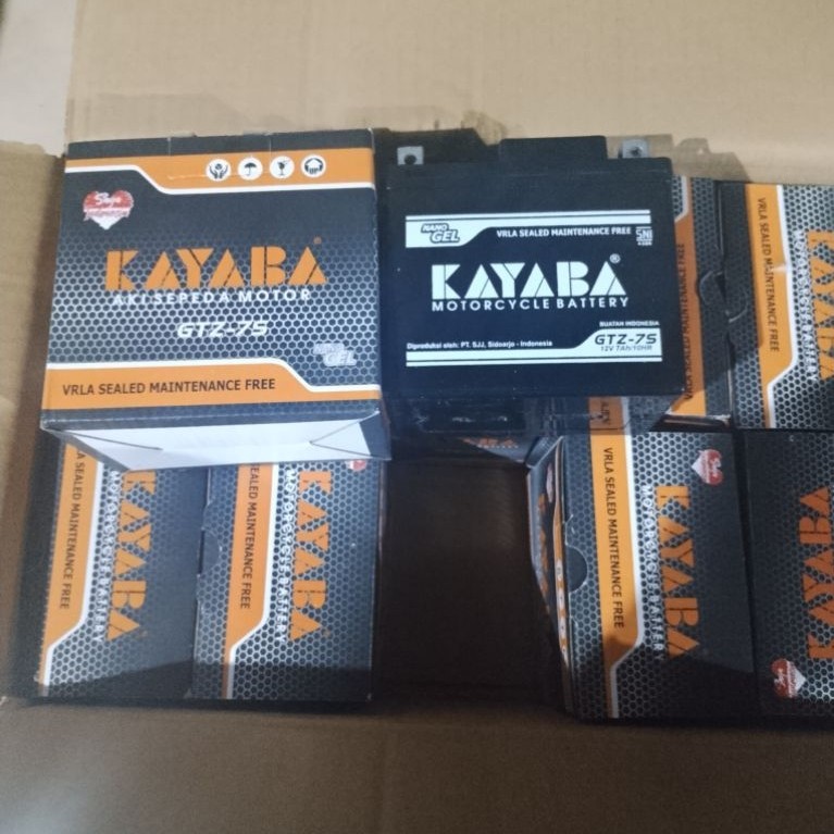 aki kayaba gtz-7s