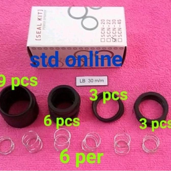 Yest- Sc30 Seal Kit Assy Seal Pompa Steam Cuci Motor Sancin 30