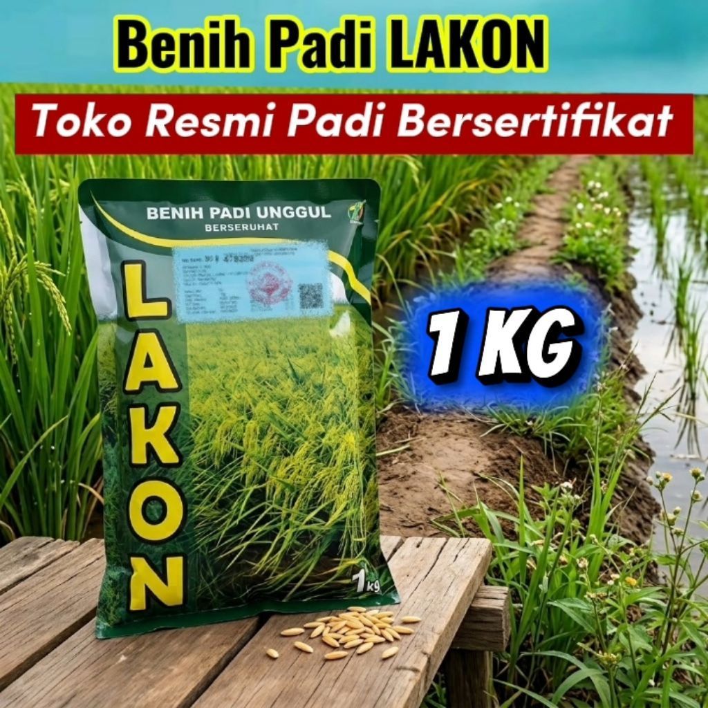 Benih Padi Lakon 1 kg Benih Padi Unggul Bersertifikat