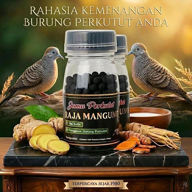 RAJA MANGGUNG Jamu Perkutut Herbal 100 Pil Kuning untuk Burung Macet Bunyi & Meningkatkan Suara Obat
