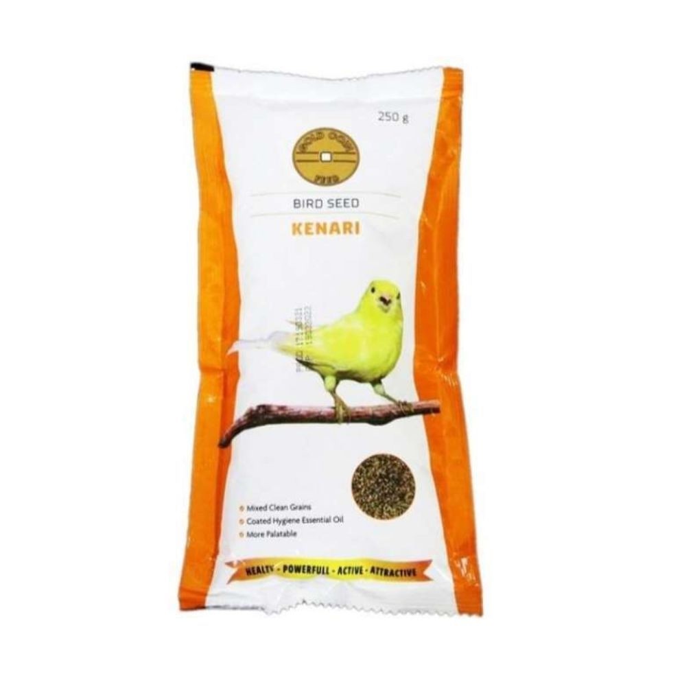 Gold Coin Canary & gold coin perkutut