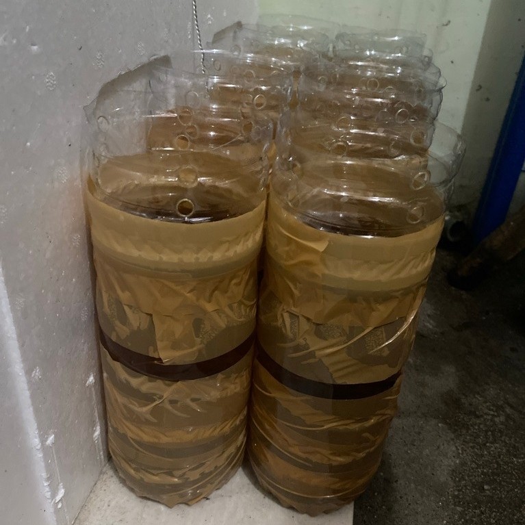 Botol Aqua Potong Cupang