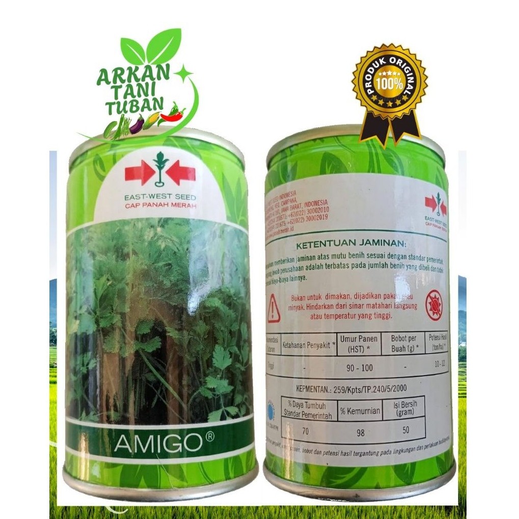 BENIH SELEDRI AMIGO 50 GRAM - EAST WEST SEED CAP PANAH MERAH