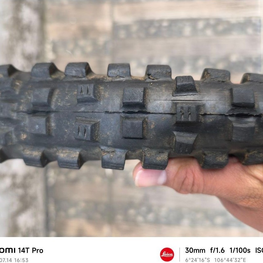ban schwalbe magic marry 27.5