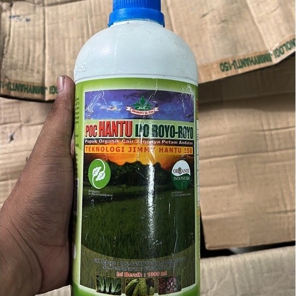 Poc hantu bacillus sp