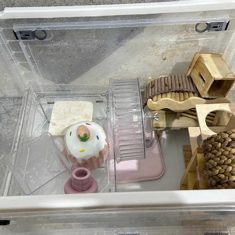 Preloved Barang Hamster
