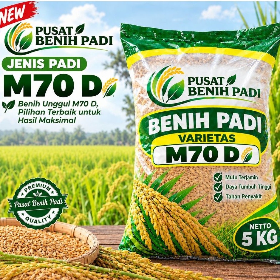 BENIH PADI M70 D Kemasan 5Kg | PUSAT BENIH PADI
