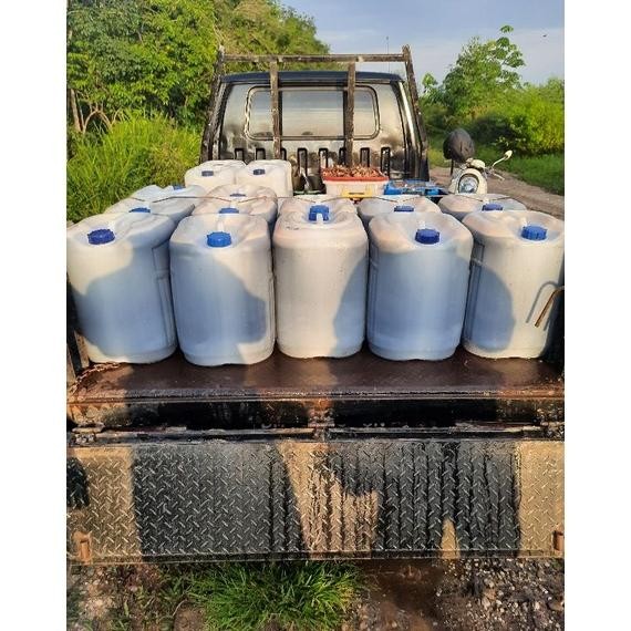 

(Terbaru) Madu Hutan Riau ( akasia crassicarpa) 5kg (Terlaris)