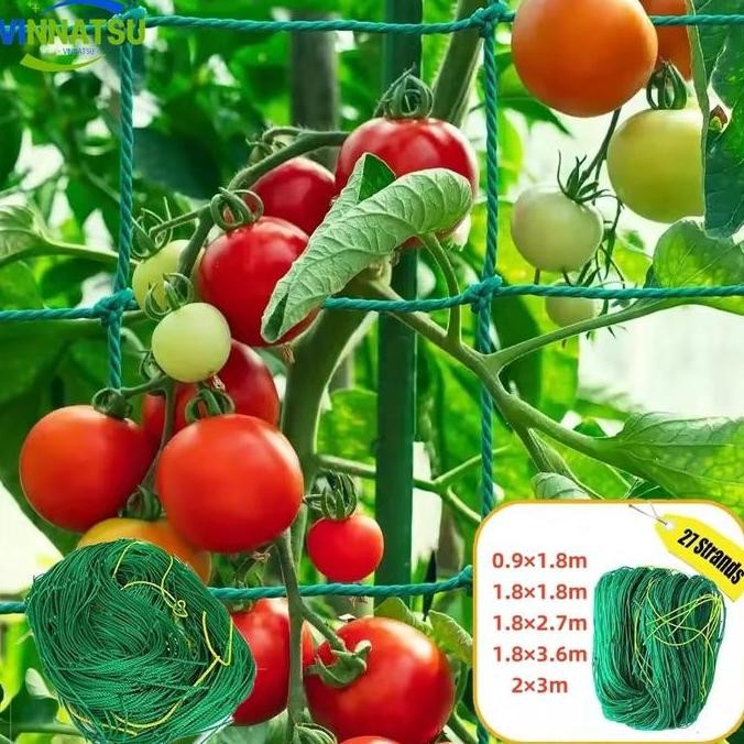 Jaring Net Rambatan Tanaman Untuk Jaring Tanaman Rambatan Aring Rambatan Tanaman Buah Merambat Plant
