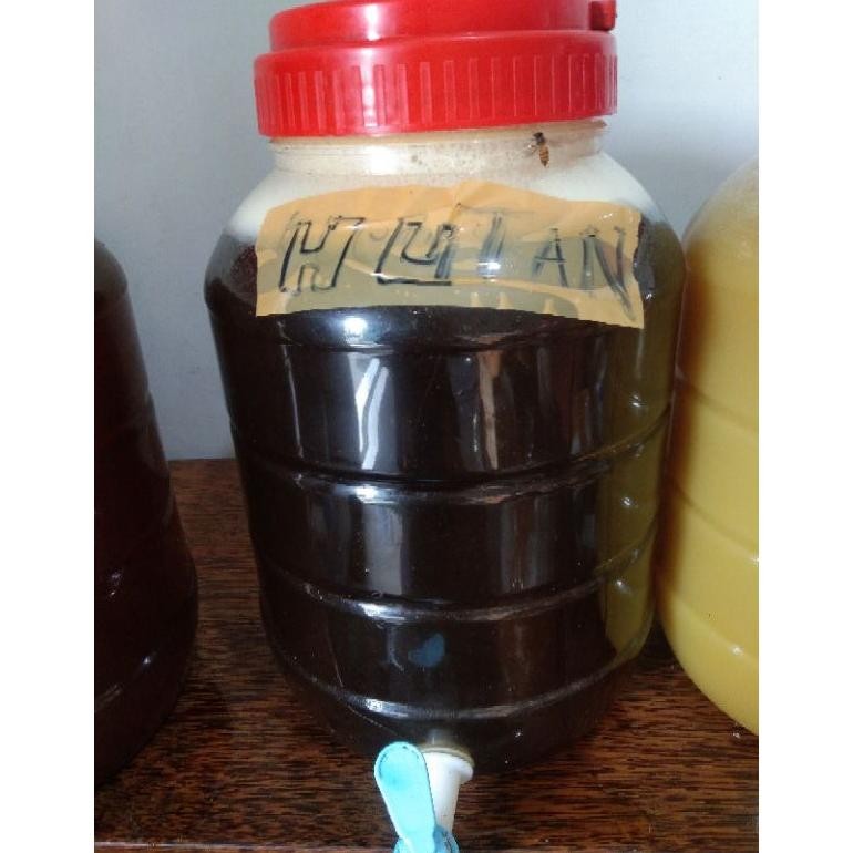 

(Terbaru) Madu Hutan 1kg - Madu Liar 100% - Murni Asli tanpa Campuran (Terlaris)