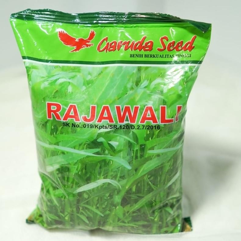 Benih Kangkung Rajawali 1 Kg | Bibit Kangkung Daun Lebar