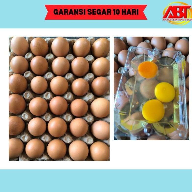 

Abt - Telur Ayam Negeri 1 Tray (Isi 30 Butir, 1800-1900Gram) Lezat Dan Bergizi (Fresh-Aman-Bergaransi)