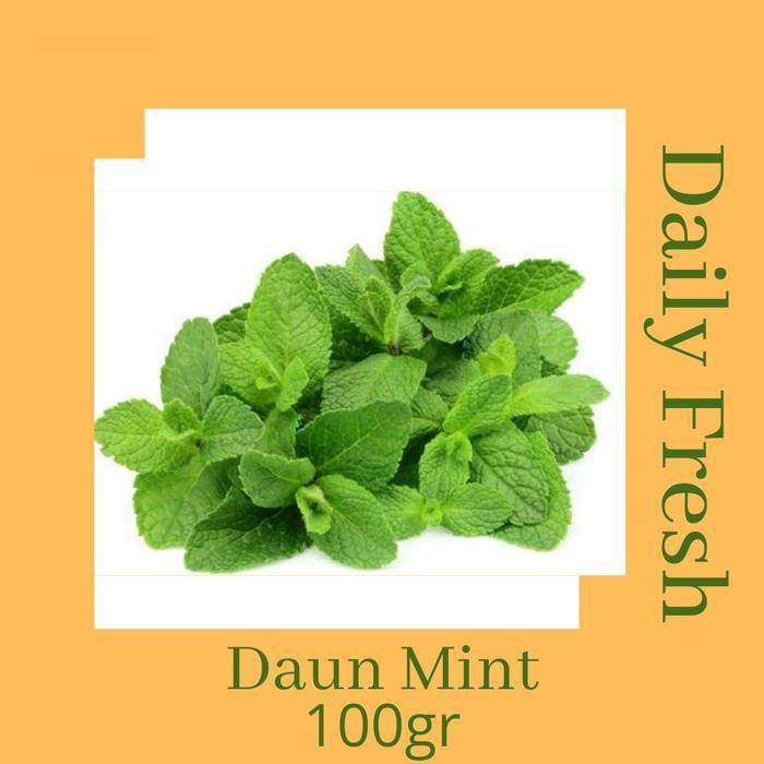 

HSS Daun Mint Segar 100gr