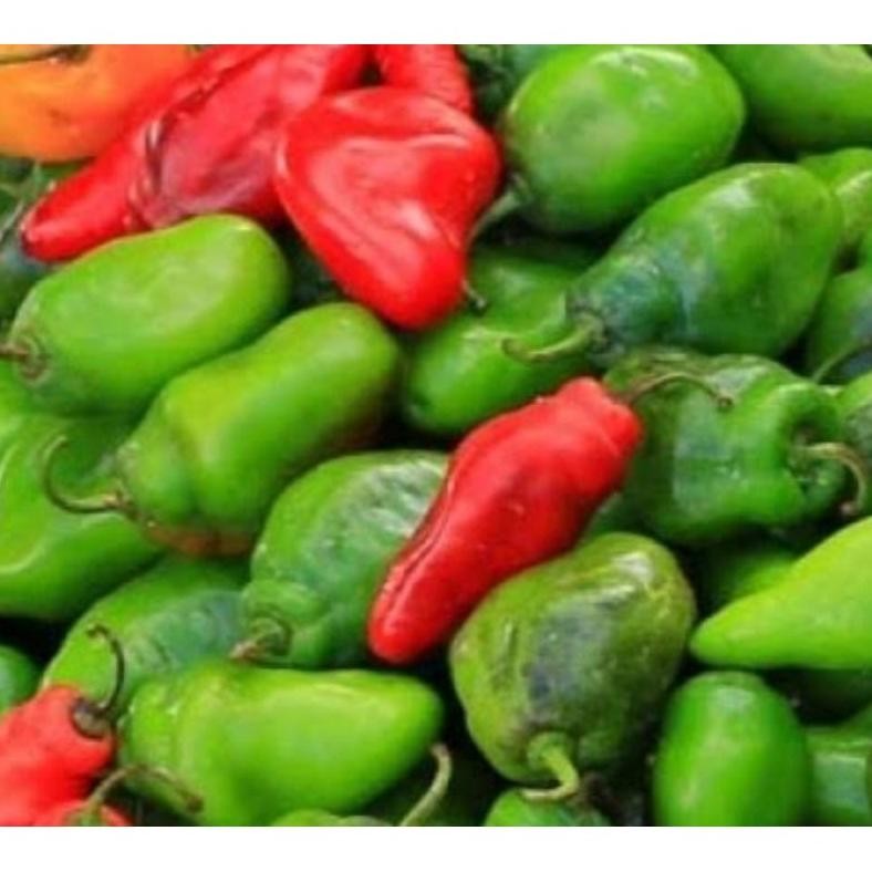 

Perhatian Cabe Gendot Segar 500Gr