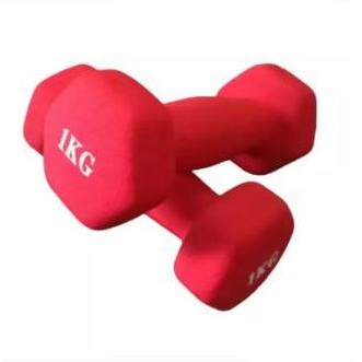 dumbell 1kg dumbell Neoprene Barbel Vinyl 1 kg original