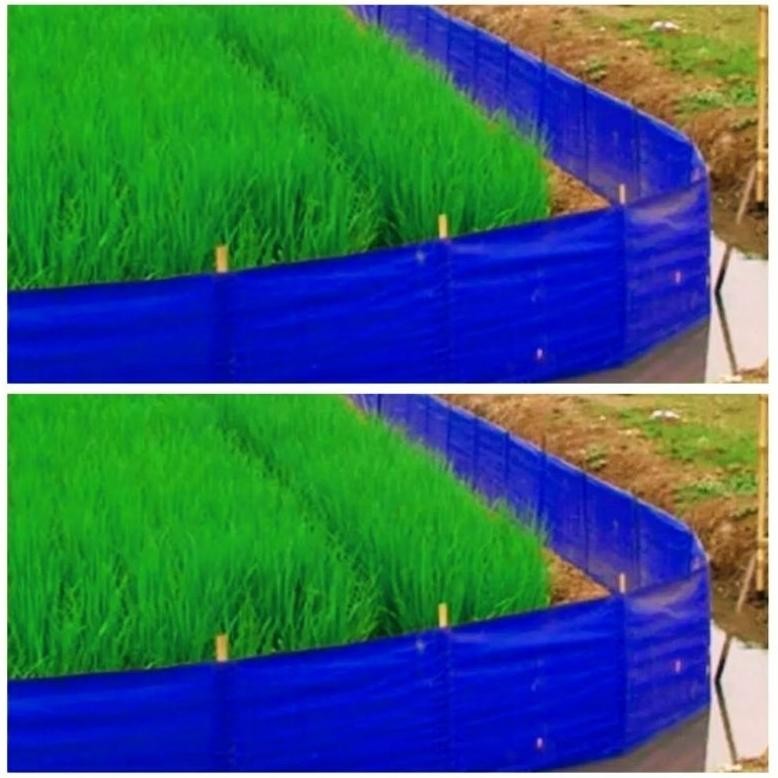 plastik pagar sawah tebal 0.21 mm  bahan PE +-45 meter