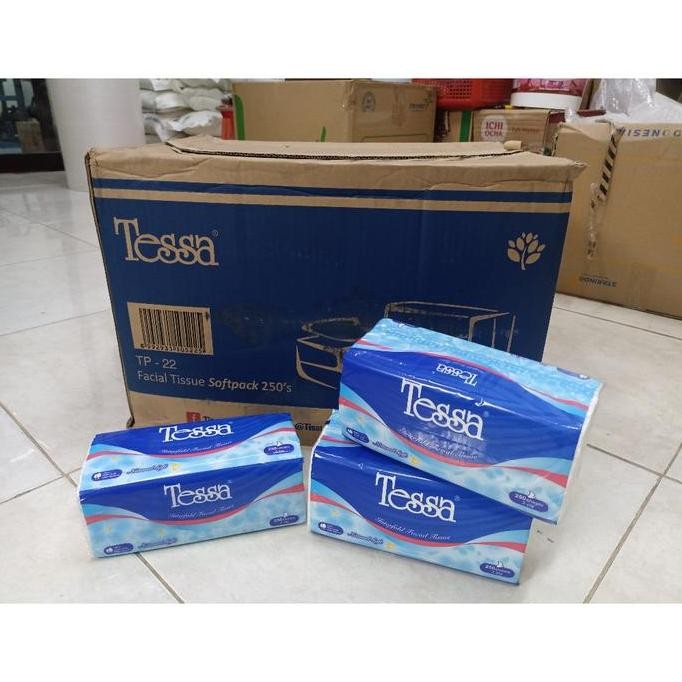 Ready Stock TISSUE TESSA 250 SHEET 2 PLY 1 KARTON