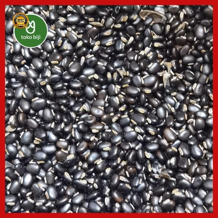 

(Best Saller) Kacang Mucuna Bracteata / Kacang Mb / Benih Mb Bestseller