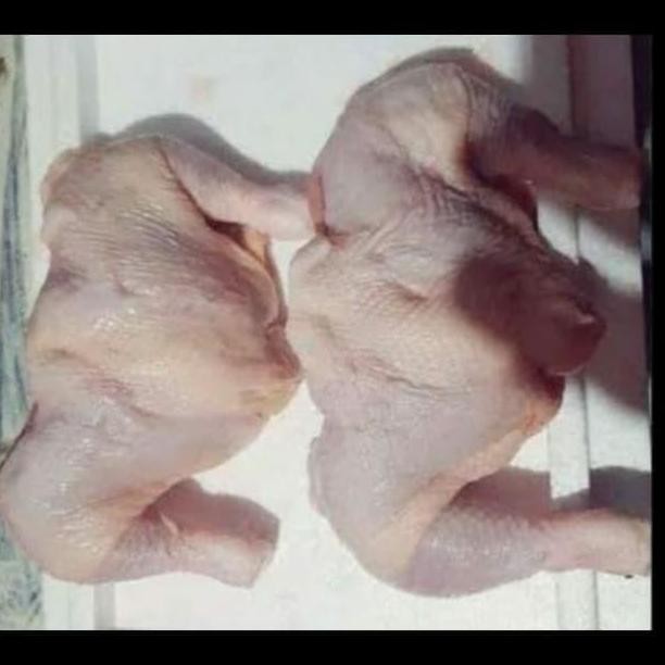 

paha ayam fresh 1 kg