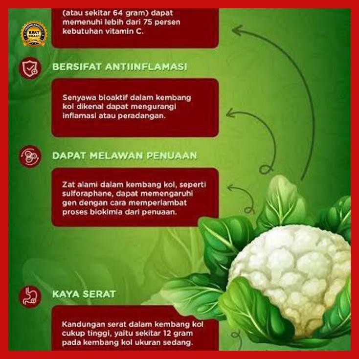 

(Termurah) 10 Biji Benih Kembang Bunga Kol Putih F1 Bestseller