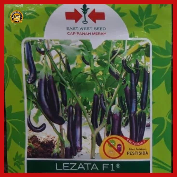 (Diskon) Benih / Bibit Terong Panjang Lezata F1 Bestseller