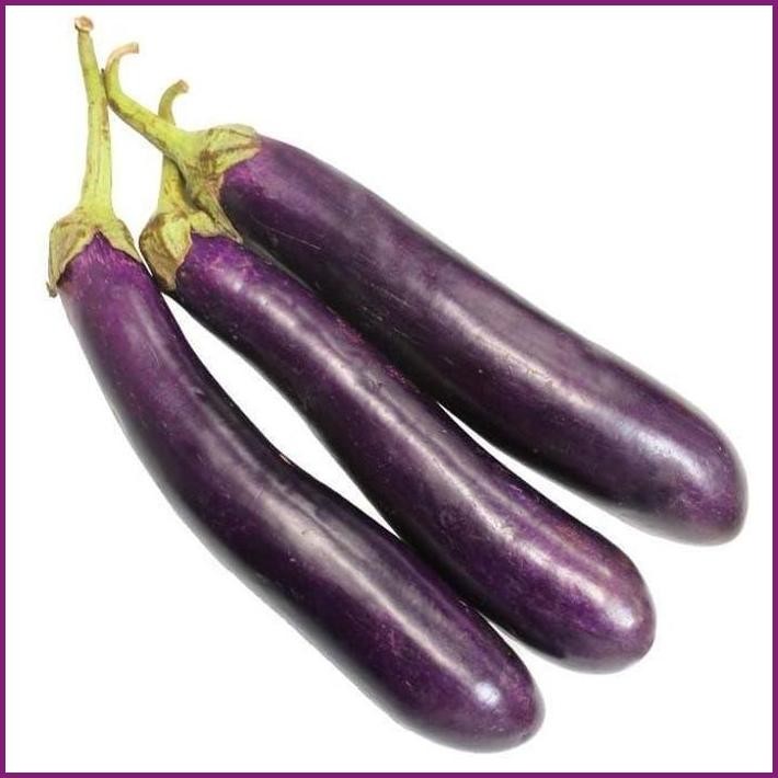 

STOCK READY TERONG UNGU PREMIUM - BAKOEL SAYUR ONLINE TERBARU