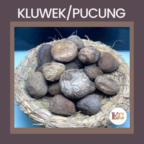 

lO Kluwek/Pucung Bumbu Masak Rempah