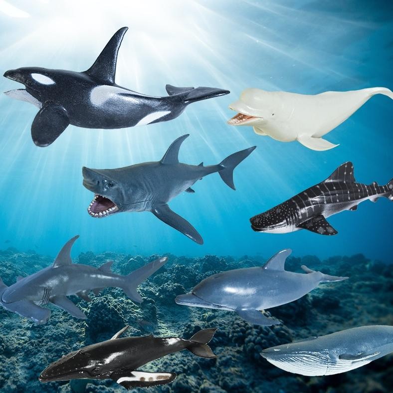 Viral Mainan Binatang Laut Karet Figure Hewan Laut Sea Animal Model Toys Koleksi Bahan Pvc Shark Pau