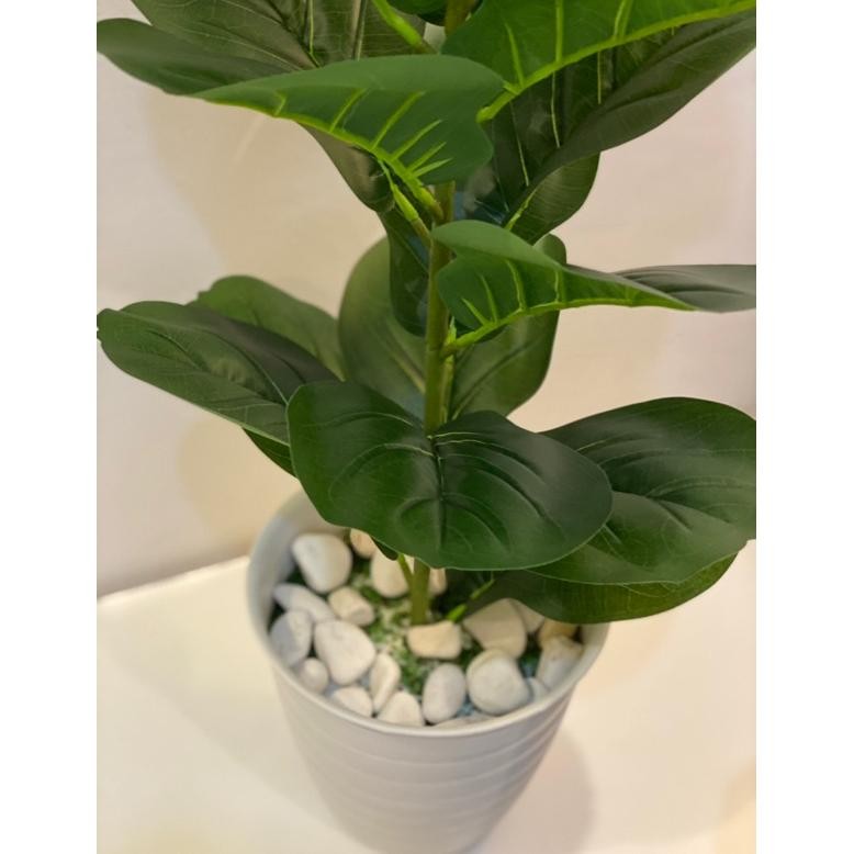 Pohon Ketapang Artifisial 23 Daun Pohon Hias Pojok Rumah Pohon Dekorasi Rumah Bunga Plastik Tanaman 