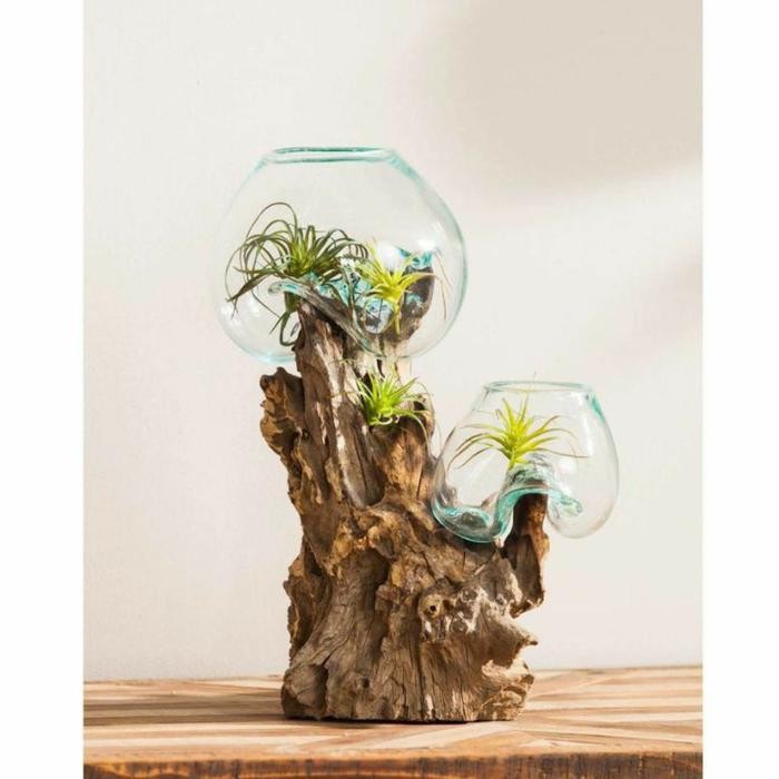 RA AQUARIUM CUPANG / AQUARIUM IKAN HIAS / AQUARIUM TIPE TINGKAT