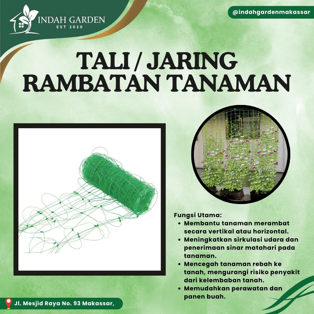 Tali rambatan / jaring Rambatan Tanaman Plant Climbing