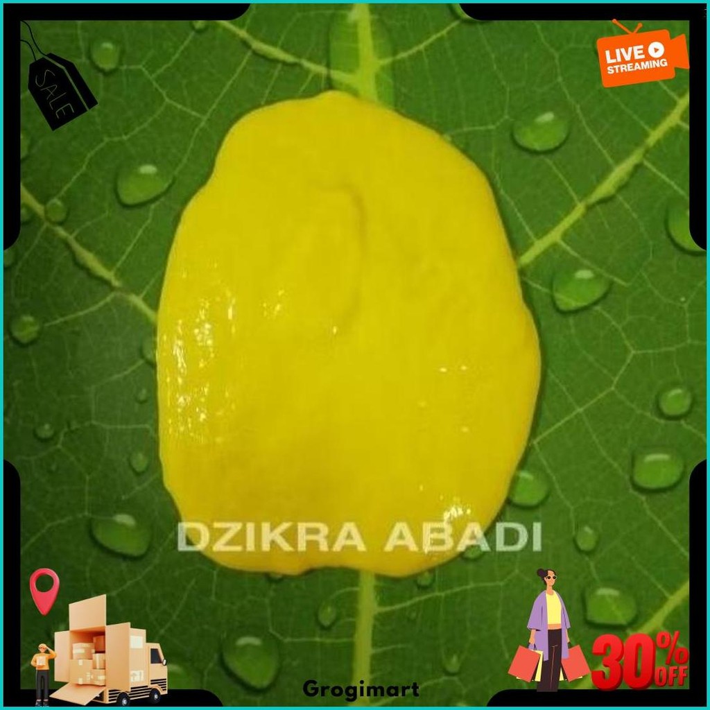 

Pewarna Makanan Bubuk Lemon Yellow 42081 Roha 100 Gr Original Produk