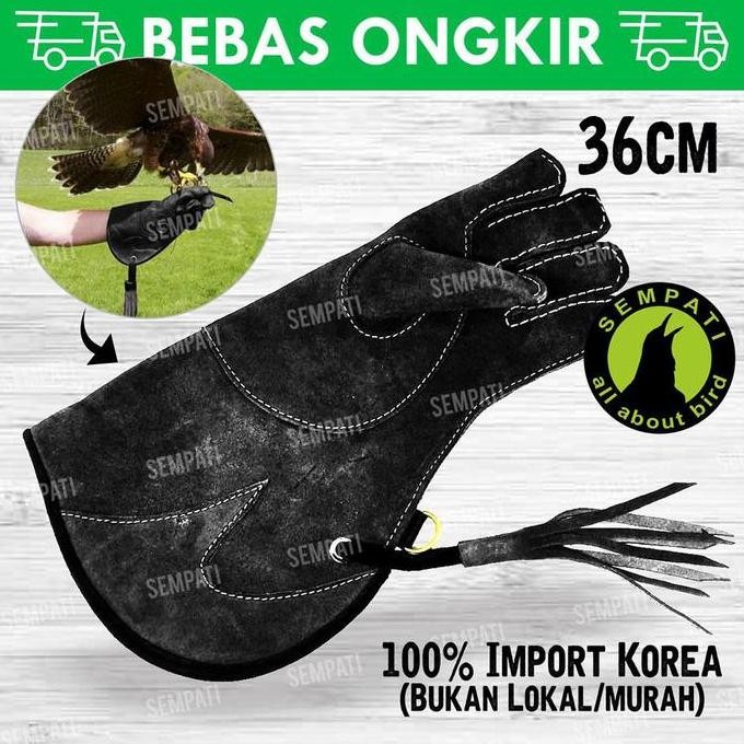 GLOVE FALCONRY KULIT SARUNG TANGAN BURUNG ALAP GLVK CO