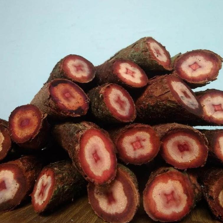 

[Kering Siap Seduh] Akar Bajakah Herbal Obat Kanker Tumor Asli Kalimantan 100% Original