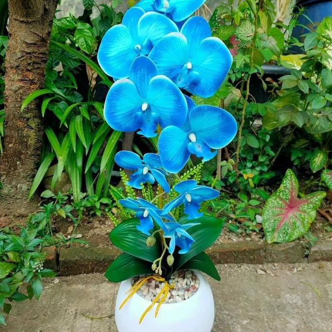 anggrek latex vas bola/bunga meja anggrek latex vas bulat