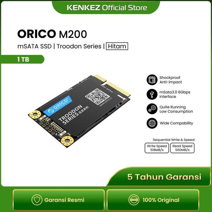 TERLARIS - ORICO - M200 - mSATA SSD Troodon Series 1TB