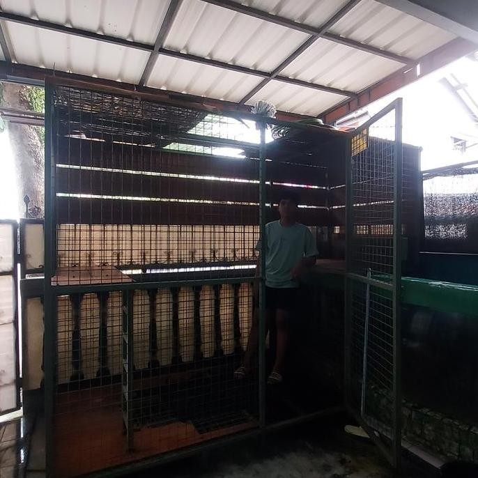 kandang besi anjing kucing burung besar aviary jumbo