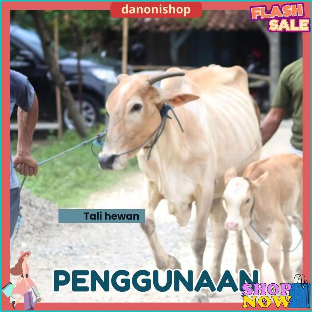 

Tali Tampar Ukuran 2Mm Panjang 220 Meter Terlaris