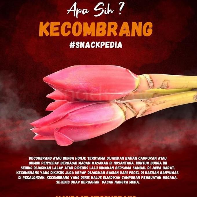 

Sale Sambal Cumi Kecombrang Ibu Kribo / Sambel Ibu Kribo Bogor