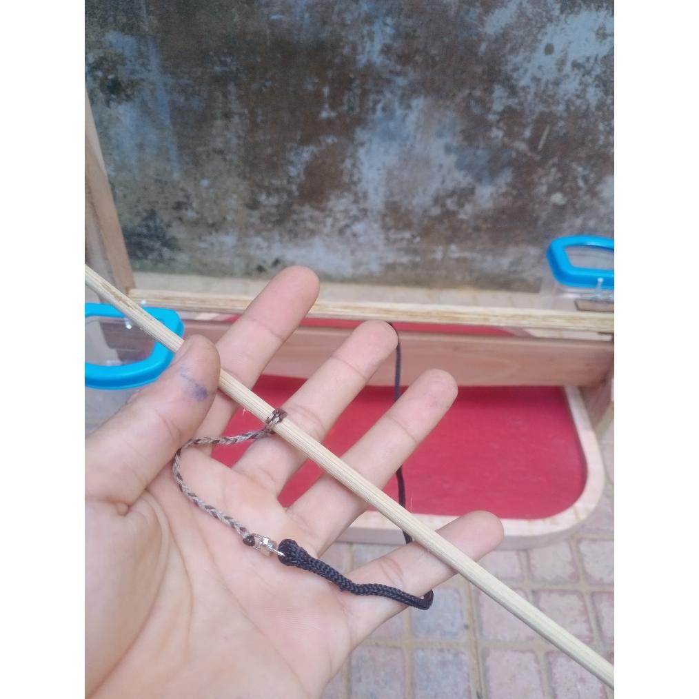 Sangkar Layang Kutilang, Trucukan, Perkutut, dll Alas Oval Model Unik Bahan Kayu Jati dan Mahoni