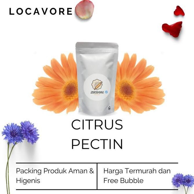 (Best) Citrus Pectin / Pektin Kulit Jeruk / LM Pectin 100 GR