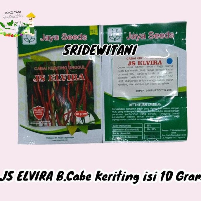 Benih Bibit Cabe Keriting Unggul JS ELVIRA 10 Gram JAYA SEED Bibit Cabai Kriting Unggul F1 Tanaman