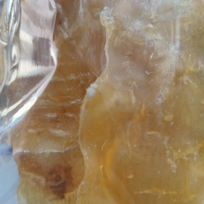 Hipio Perut Ikan/ Gelembung Ikan/ BellyFish Mentah (KAKAP TEBAL) 100gr