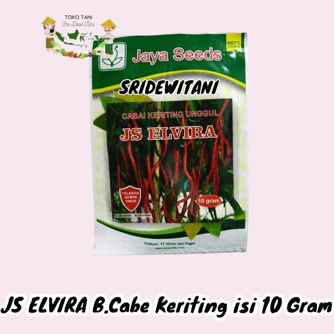 Benih Bibit Cabe Keriting Unggul JS ELVIRA 10 Gram JAYA SEED Bibit Cabai Kriting Unggul F1 Tanaman