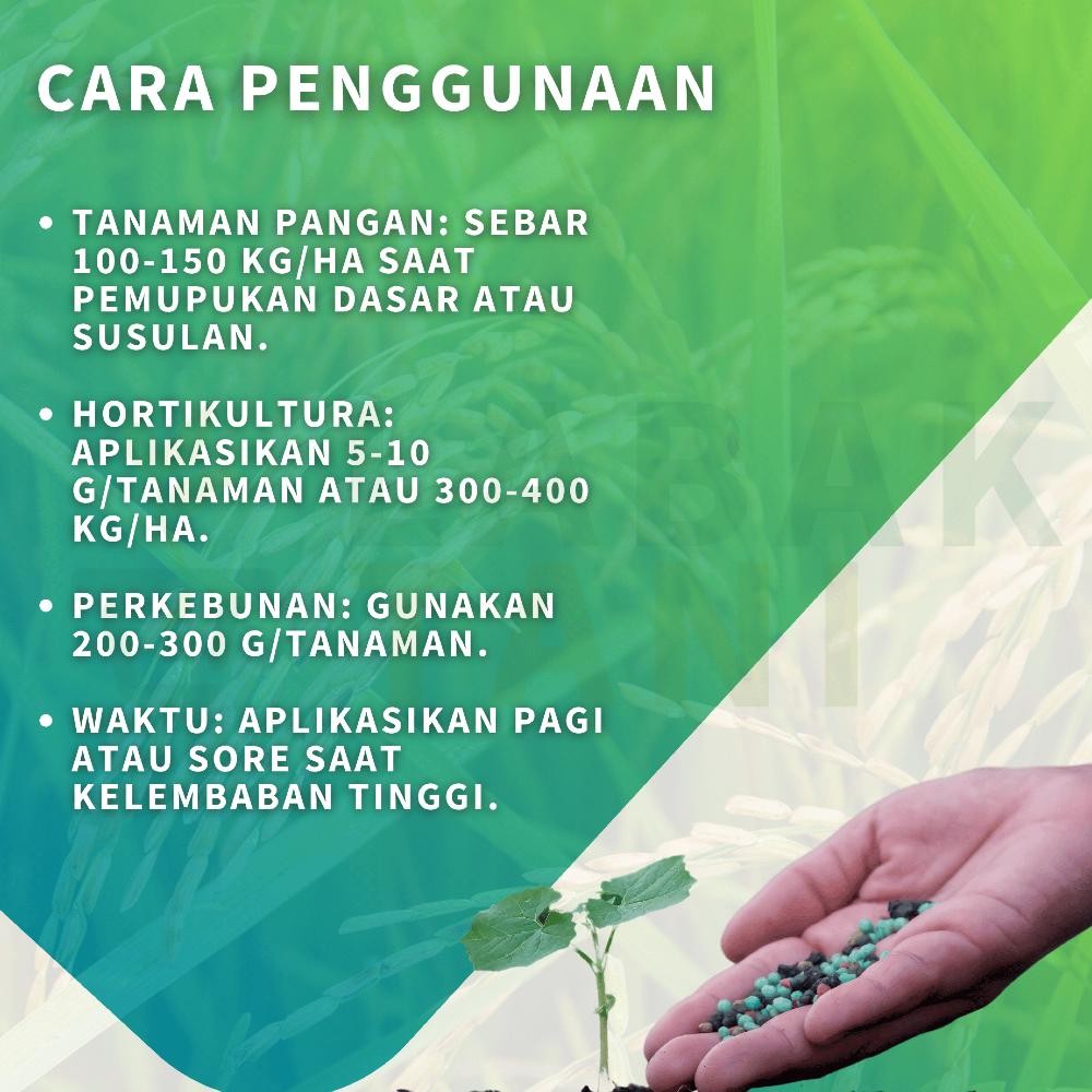 Pupuk Npk Mutiara 161616 5 Kg