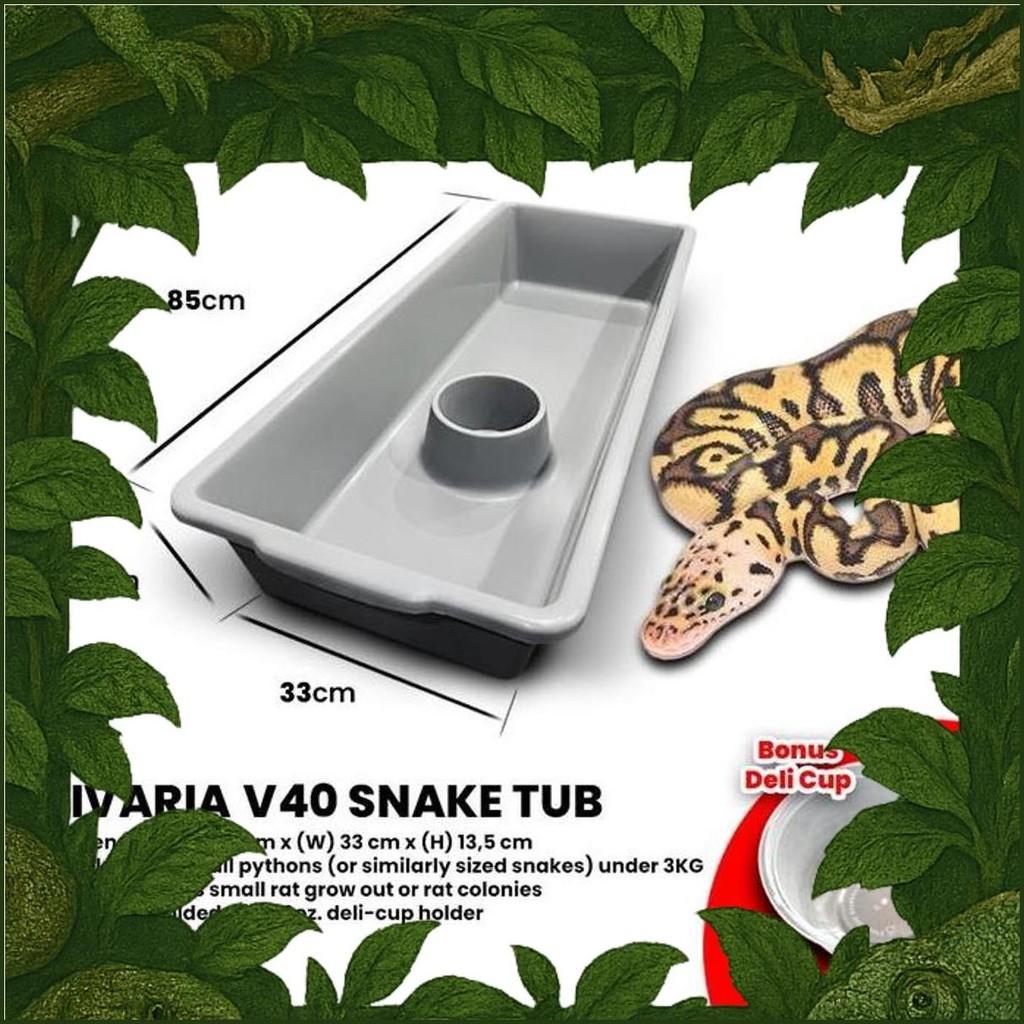 Vivaria V40 Snake Tub Kotak Ball Python Bp Ular