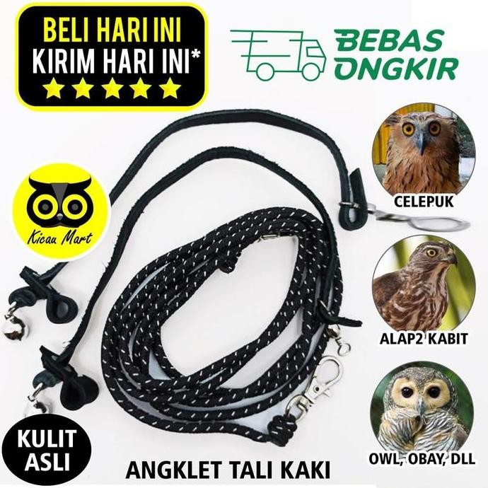 Buruan serbu] ANKLET CELEPUK TALI BURUNG HANTU ANGKLET CELEPUK KASTREL BIDO ALBA ANG