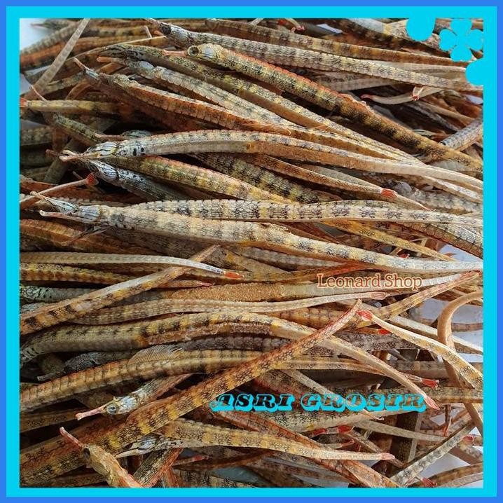 NAGA LAUT KUNING KERING 100G BAHAN RENDAMAN KUDA OBAT HERBAL PRIA KUAT PRODUK TERBAIK