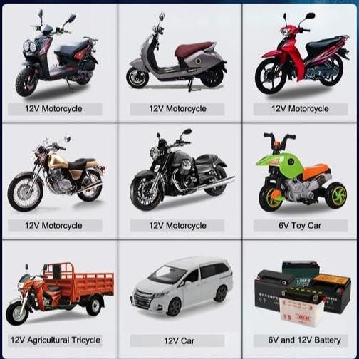 Cas Aki Charger Aki Motor Charger Aki 6V/12V 40Ah Foxsur